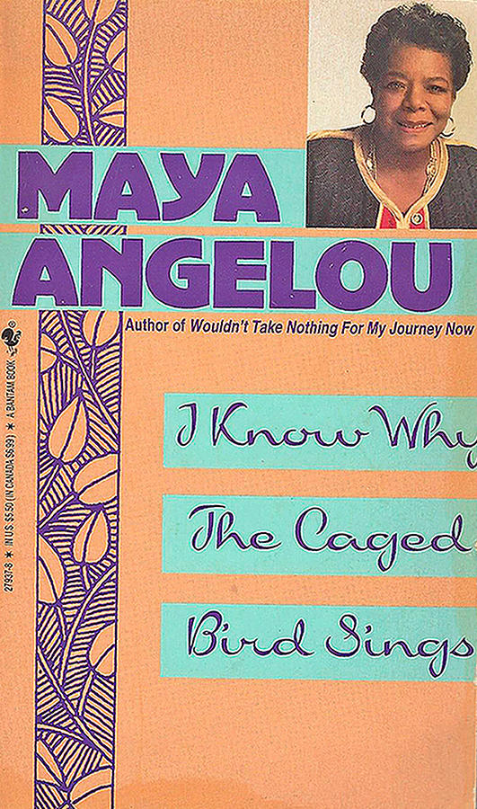 Maya I Know Why The Caged Bird Sings Photograph by Jay Milo