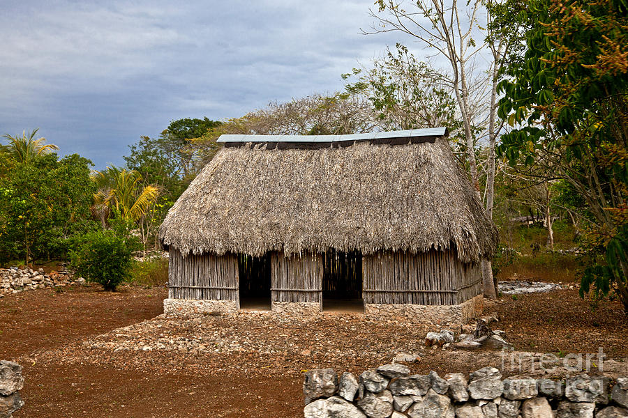 Mayan Dwelling Photograph by Ellen Thane