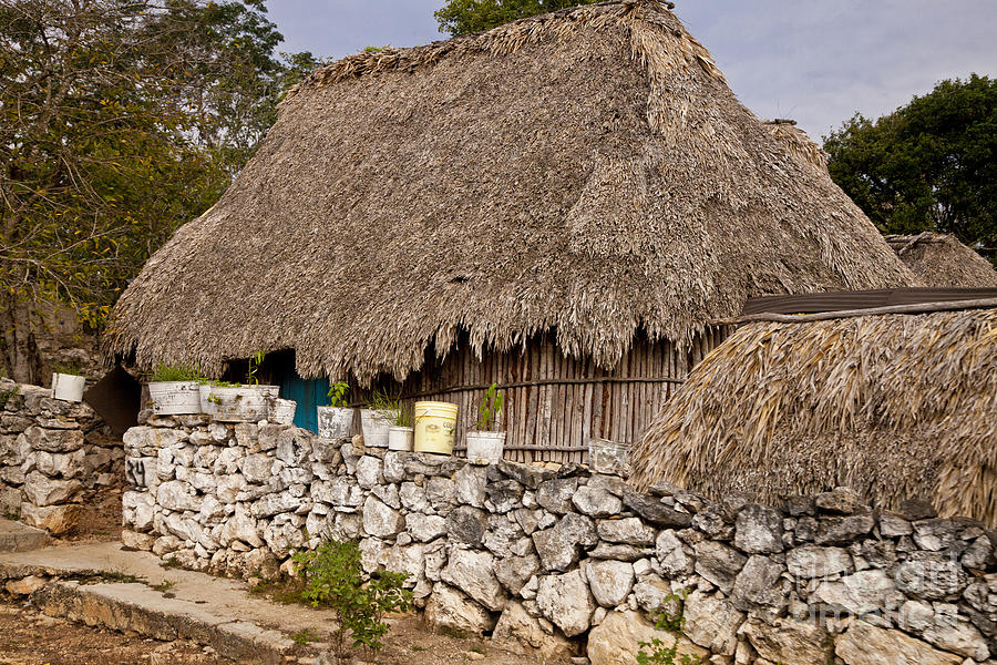 Mayan Dwelling With Thatched Roof Photograph by Ellen Thane