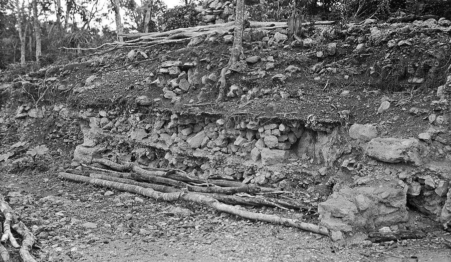 Mayan Excavation Site Photograph by American Philosophical Society