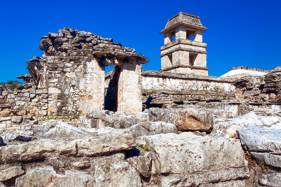 Mayan Photograph - Mayan Ruins Of The Palacio at Palenque by Mark Tisdale