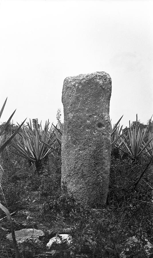 Mayan Stele Photograph by American Philosophical Society