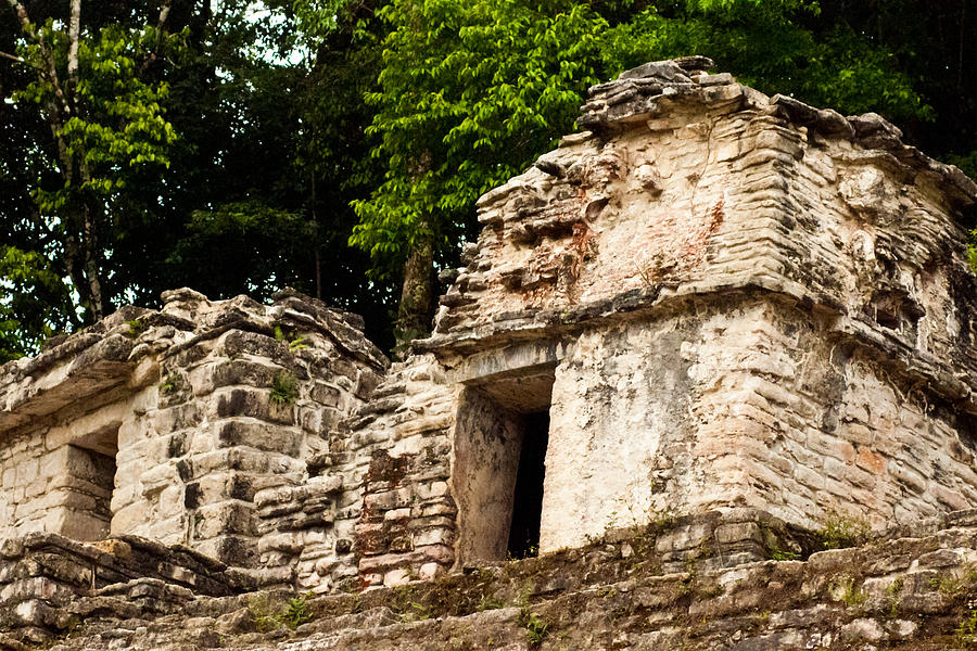 Mayan Temple Ruin Photograph by James Gay