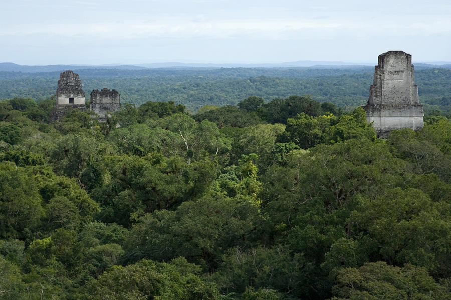 Mayan Temples Photograph by Greg Ochocki