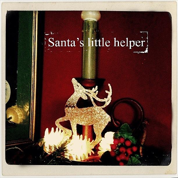 Maybe Its Rudolph. #phonto #altphoto Photograph by Teresa Mucha