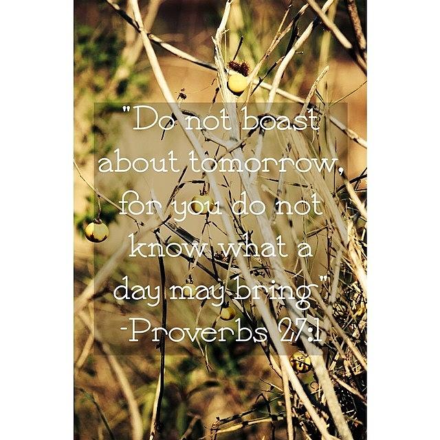 Mc Photograph - #maychallenge #mc #day27 #proverbs27 by Claire Peterson