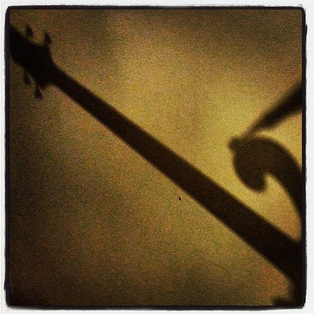Shadow Photograph - #maycustombasses #scroll #shadow by Bradley Nelson