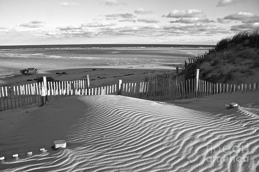 Mayflower Beach Black and White Photograph by Amazing Jules