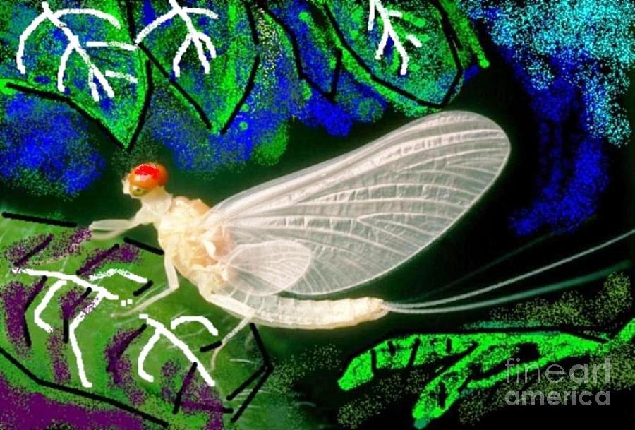 Mayfly 3 on green leaf Painting by Ronald Oliver - Fine Art America