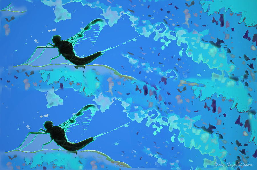 Mayfly Abstract Blue Photograph by Joyce Dickens