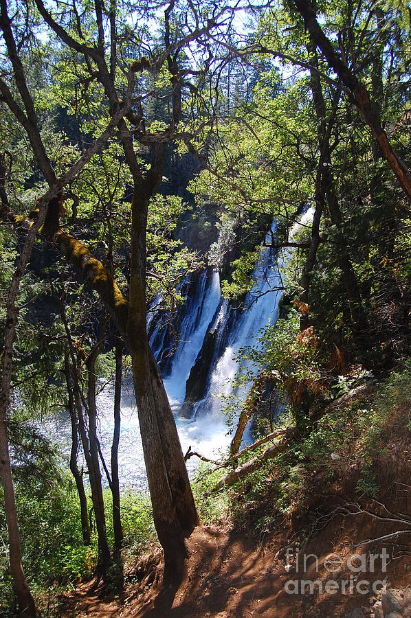 McArthur-Burney Falls Side View Photograph by Debra Thompson