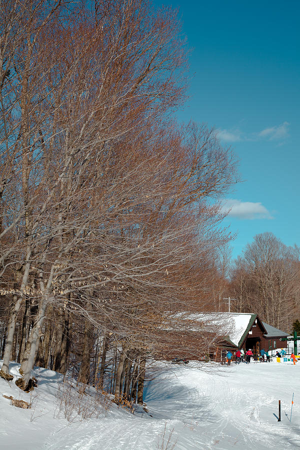 McCauley Mountain Ski Area III- Old Forge New York Photograph by David Patterson