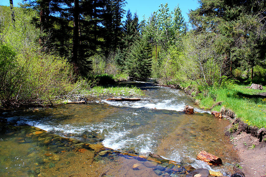 McClellan creek Helena Photograph by Roxann Tempel - Pixels