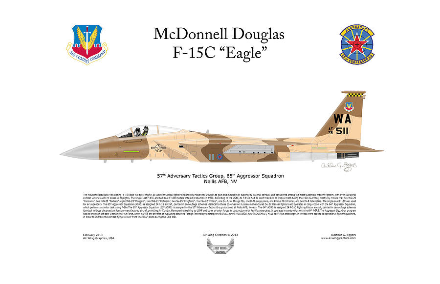 F-15C 65th Aggressor Flanker - Wall Pilot