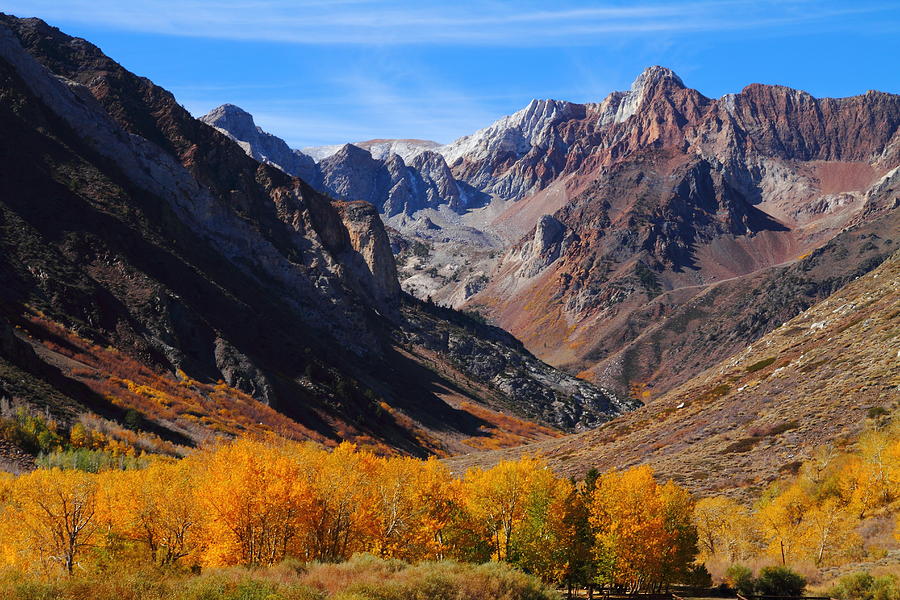 McGee Canyon fall colors in the Eastern Sierras Photograph by Jetson Nguyen