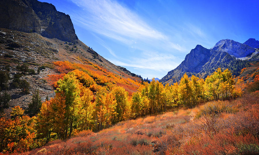 McGee Creek Fall Panorama Photograph by Lynn Bauer - Fine Art America