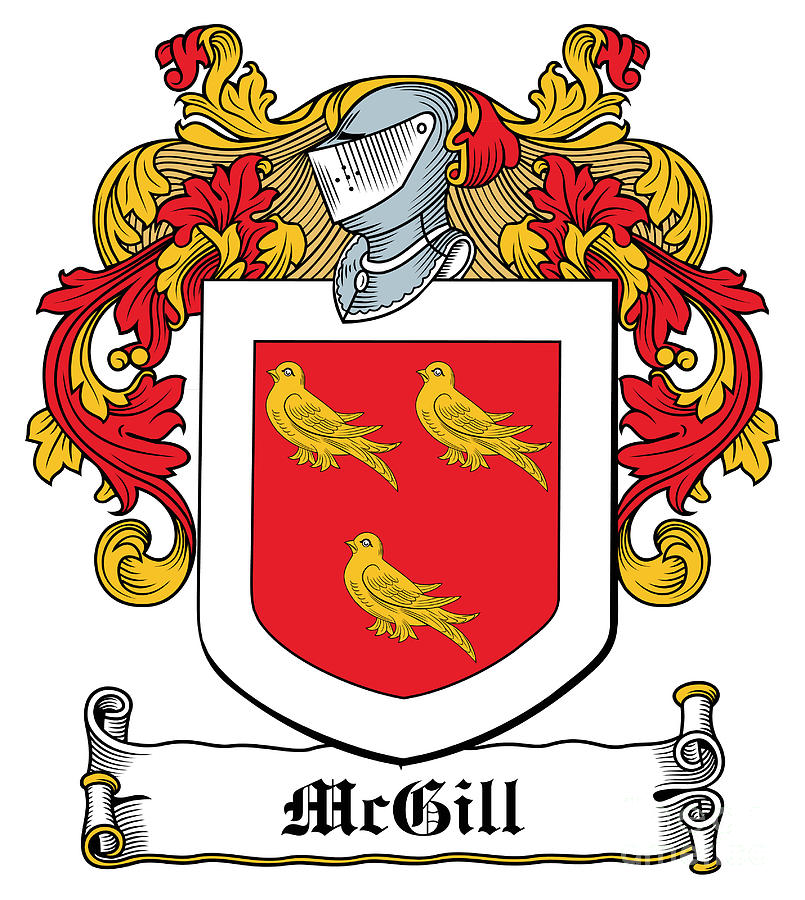 McGill Coat of Arms Ballynester Ireland Digital Art by Heraldry - Pixels