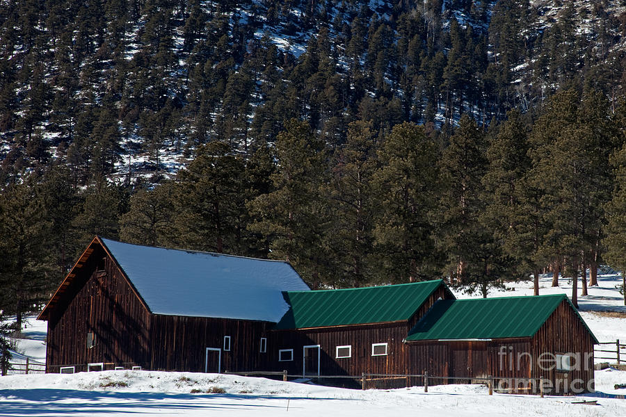 McGraw Ranch Barn in Winter Photograph by Fred Stearns