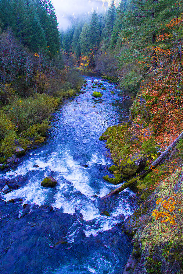 McKenzie river in autumn Photograph by Kunal Mehra