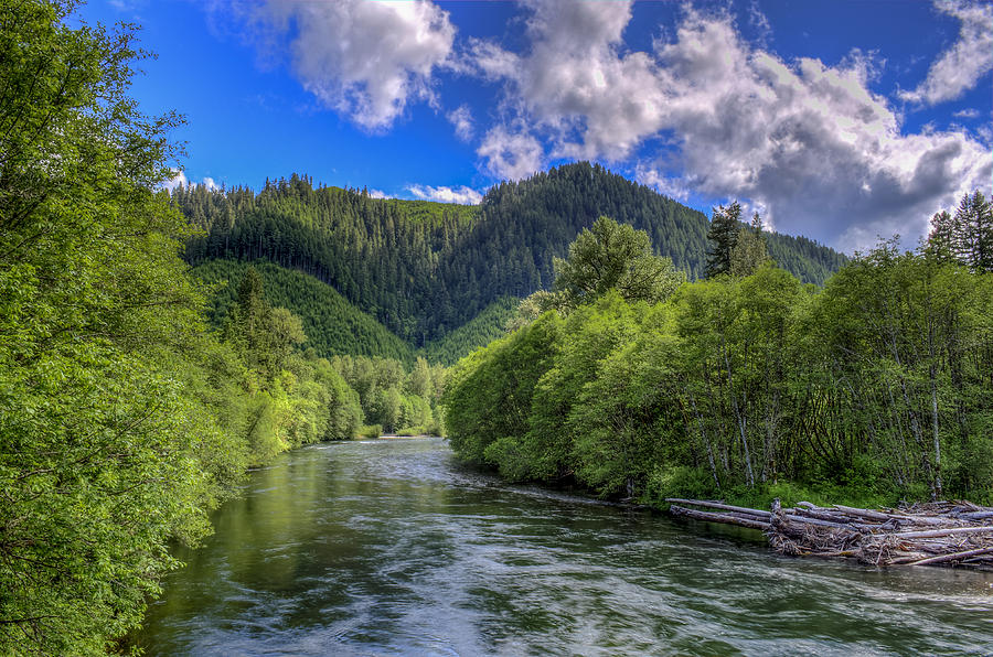 McKenzie River Photograph by Mike Shaw
