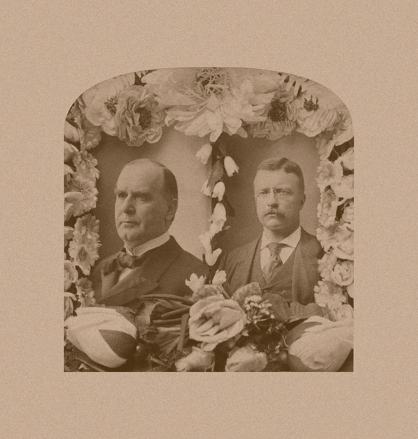 McKinley and Roosevelt Photograph by War Is Hell Store