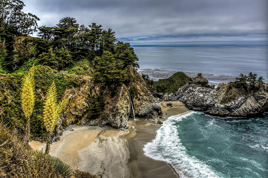 McWay Falls Photograph by Maria Coulson