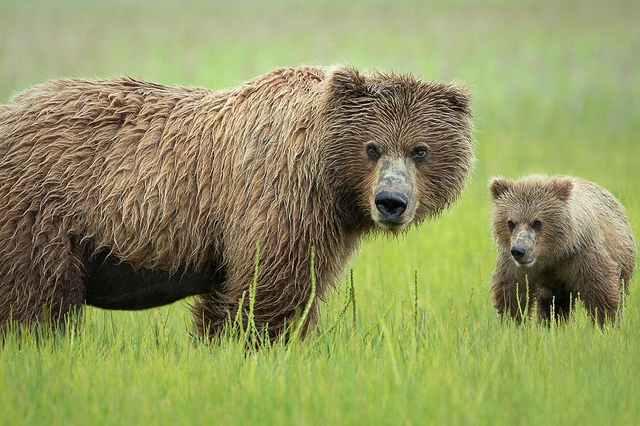 Alaska Photograph - Me And Ma by Renee Doyle