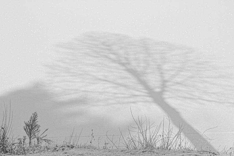 Me and My Shadow Black and White Photograph by James BO Insogna
