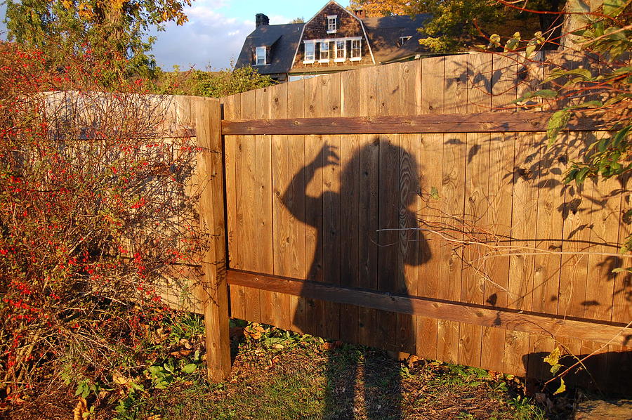 Me and My Shadow Photograph by Judy Swerlick