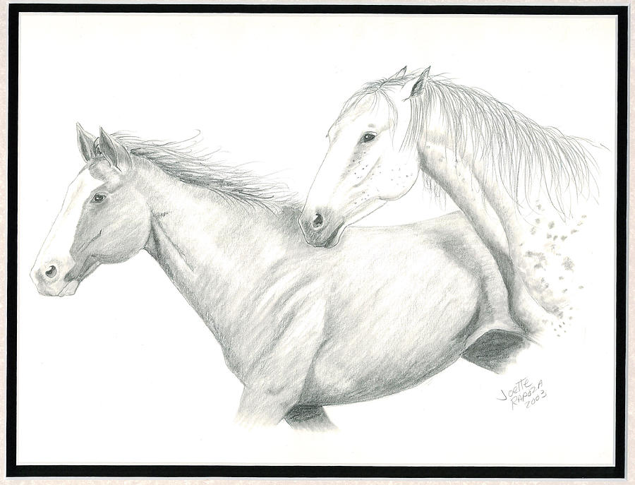 Horse Sketches Drawing - Me First by Joette Snyder