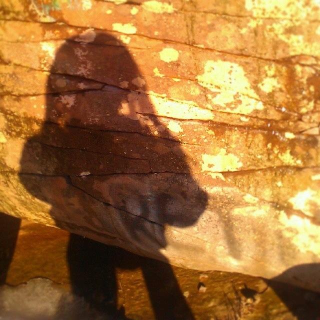 Shadow Photograph - Me No Filter.
#shadow #selfie by Sikena Khadija