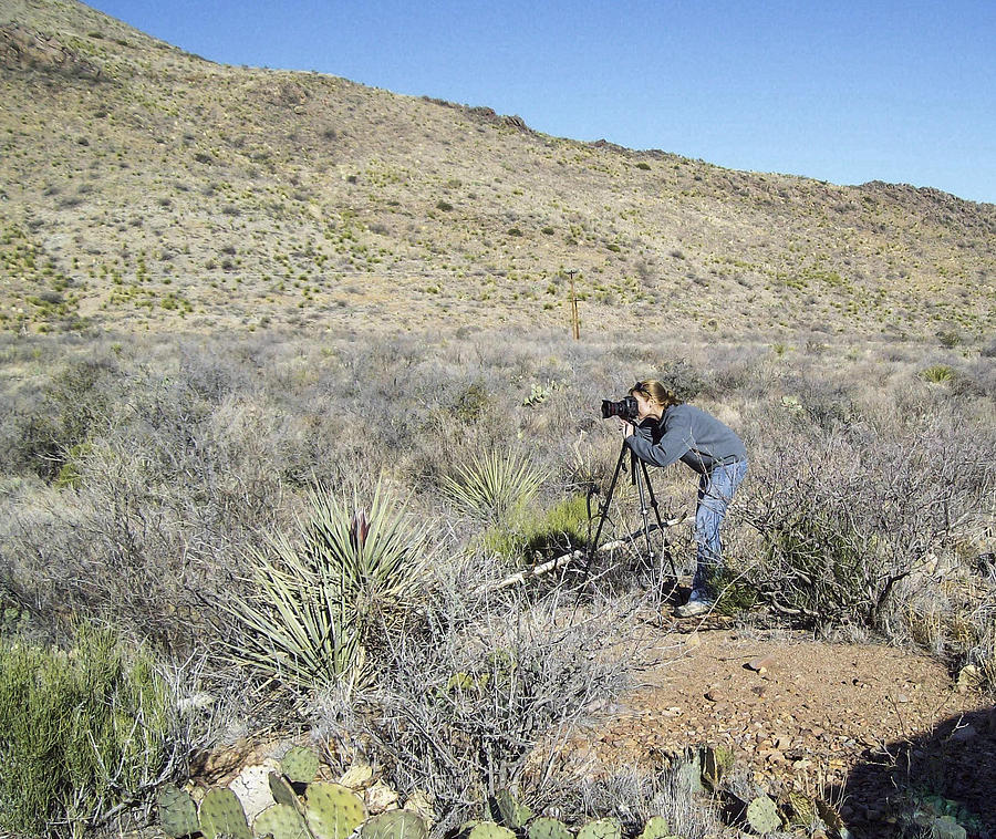 Me Shooting the Chisos Mountains Photograph by Amber Kresge
