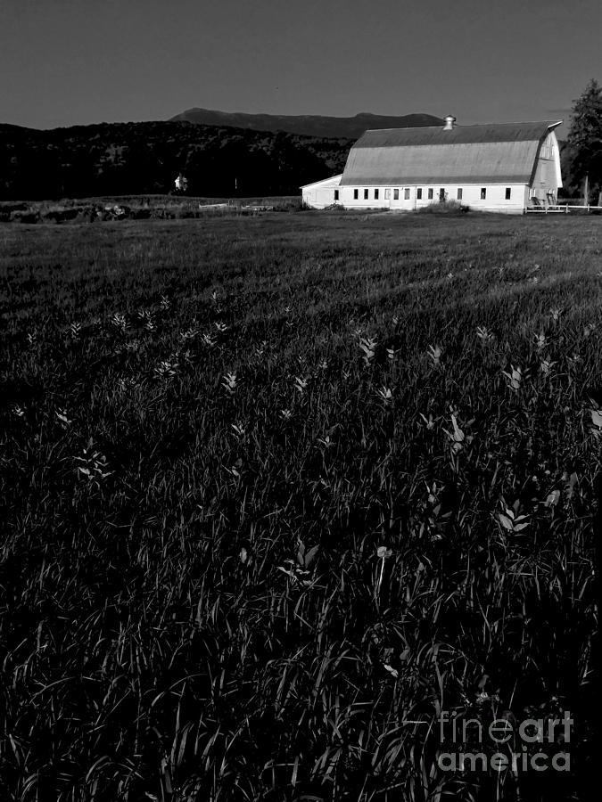 Mead-Fay Farm 1 - BW Photograph by James Aiken