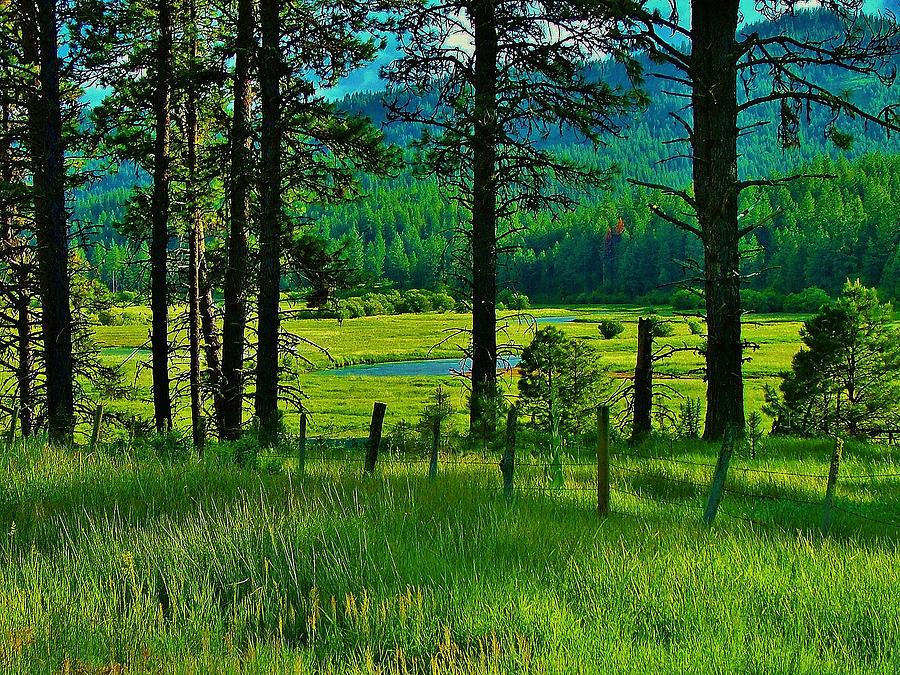 Meadow 8 Photograph by Larry Campbell