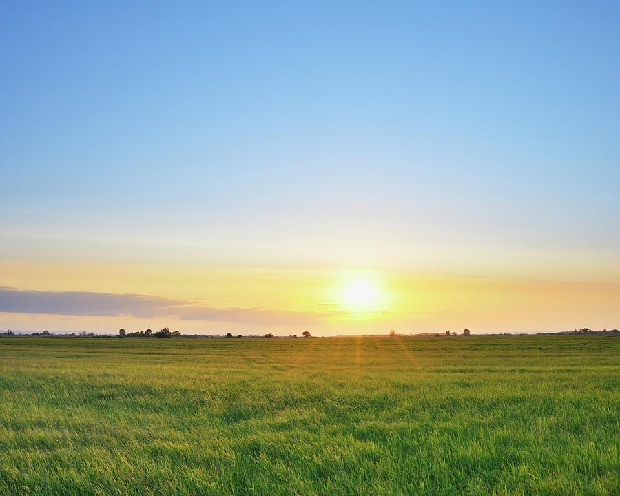 Meadow At Sunset Photograph by Raimund Linke - Fine Art America