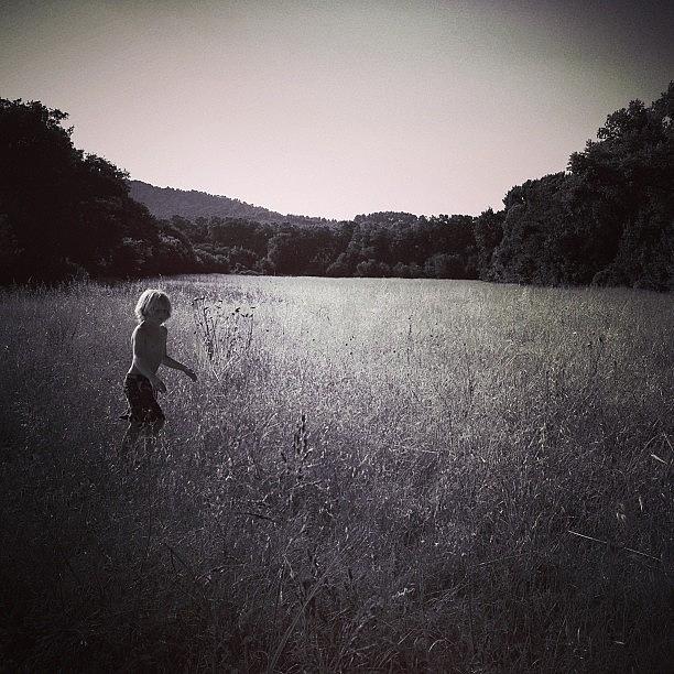 Meadow Boy Photograph by Robbert Ter Weijden