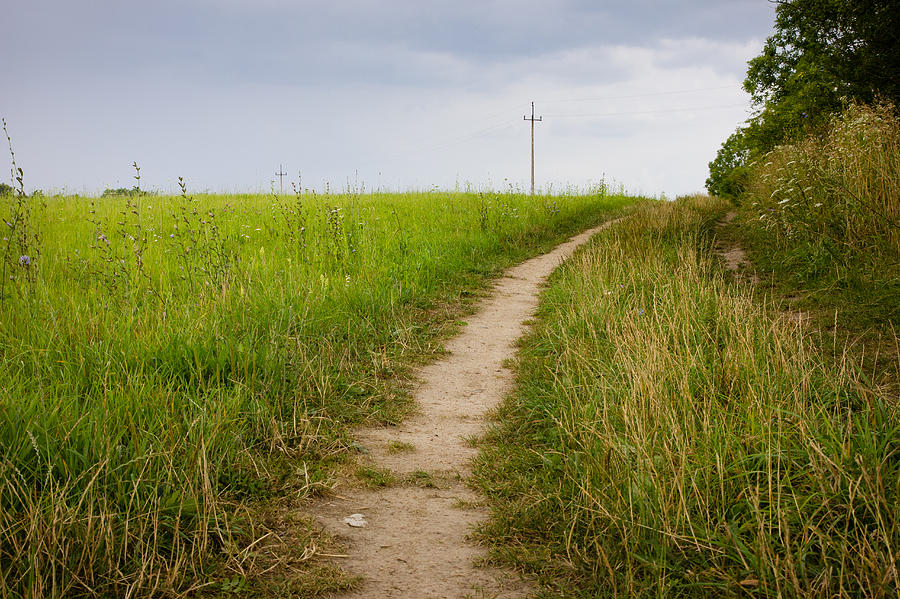 Meadow Path Photograph by Pati Photography - Fine Art America