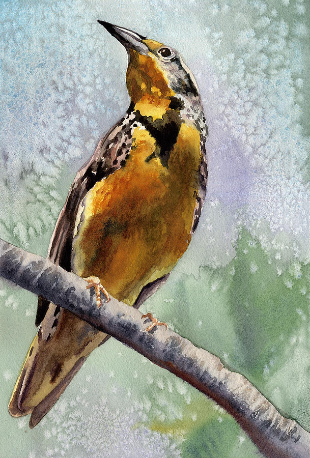 Meadowlark Painting by Anne Gifford