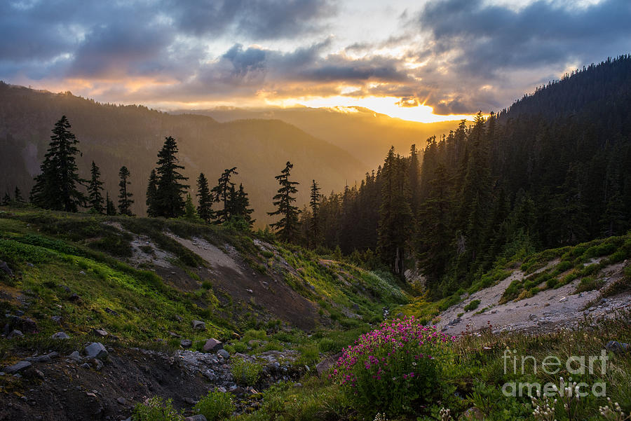 Mount Baker Photograph - Meadows Dusk Horizons by Mike Reid
