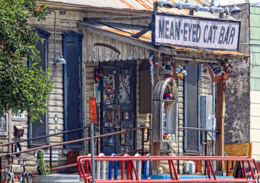 Mean Eyed Cat Bar in Color Photograph by Linda Phelps