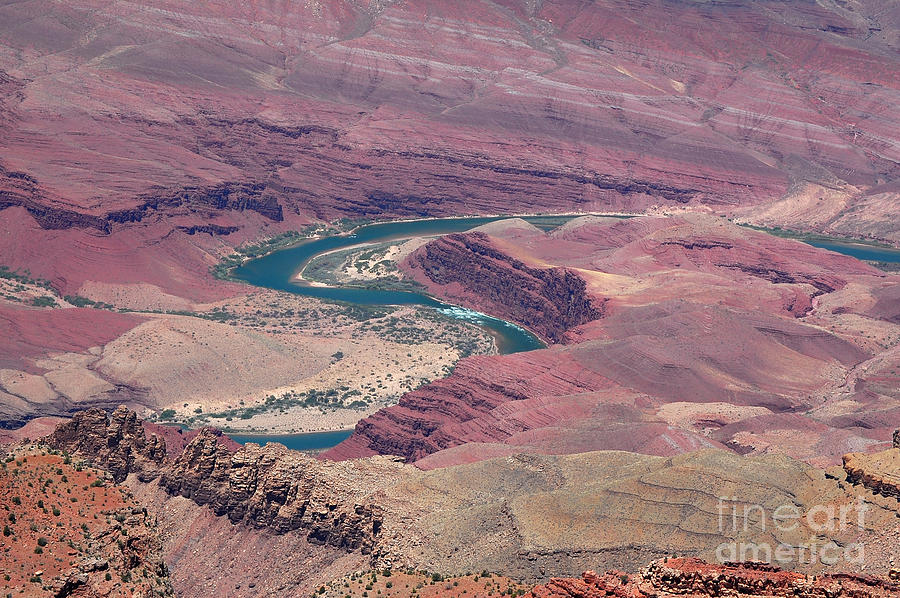 Meandering Colorado River Photograph by Debra Thompson