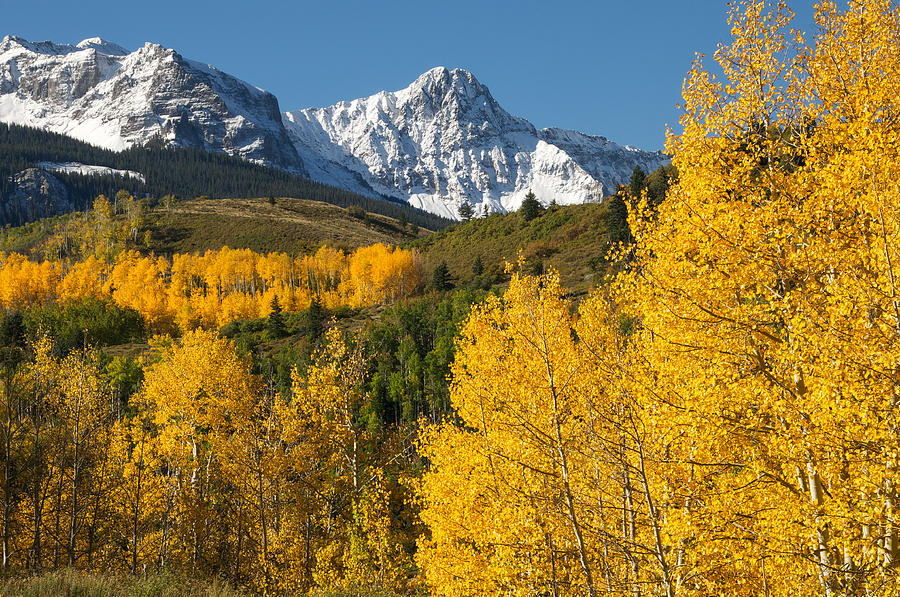 Mears Peak Colorado Photograph by Aaron Spong