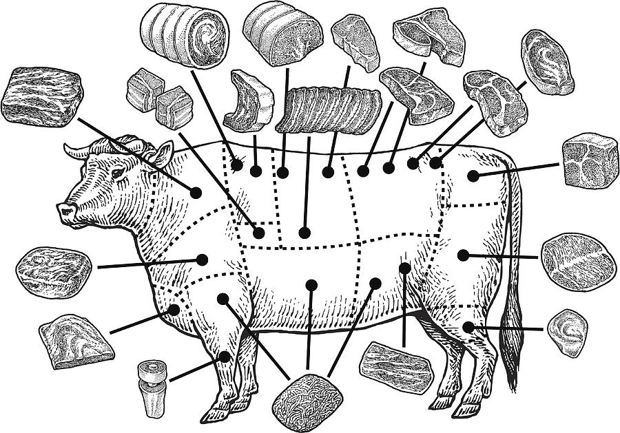 Meat Cuts - Raw Beef Drawing by KeithBishop
