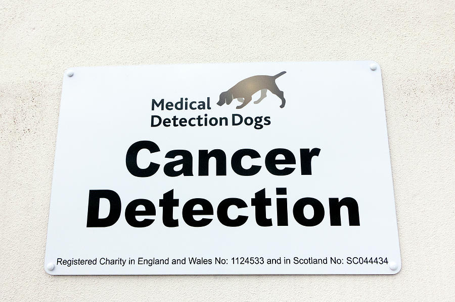 Medical Detection Dogs Sign Photograph by Louise Murray