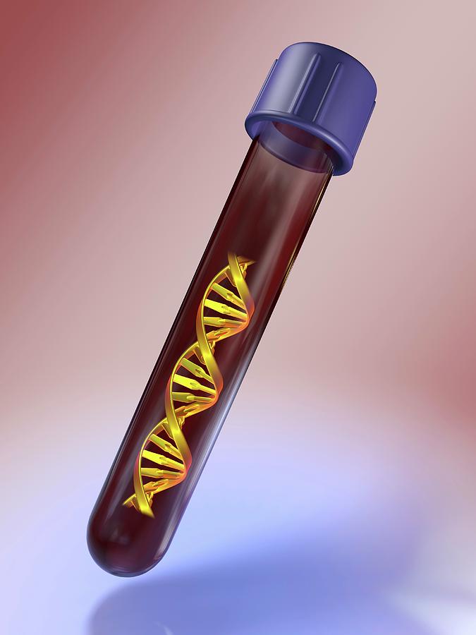 Medical Test Tube With Blood And Dna Photograph by Alfred Pasieka/science Photo Library