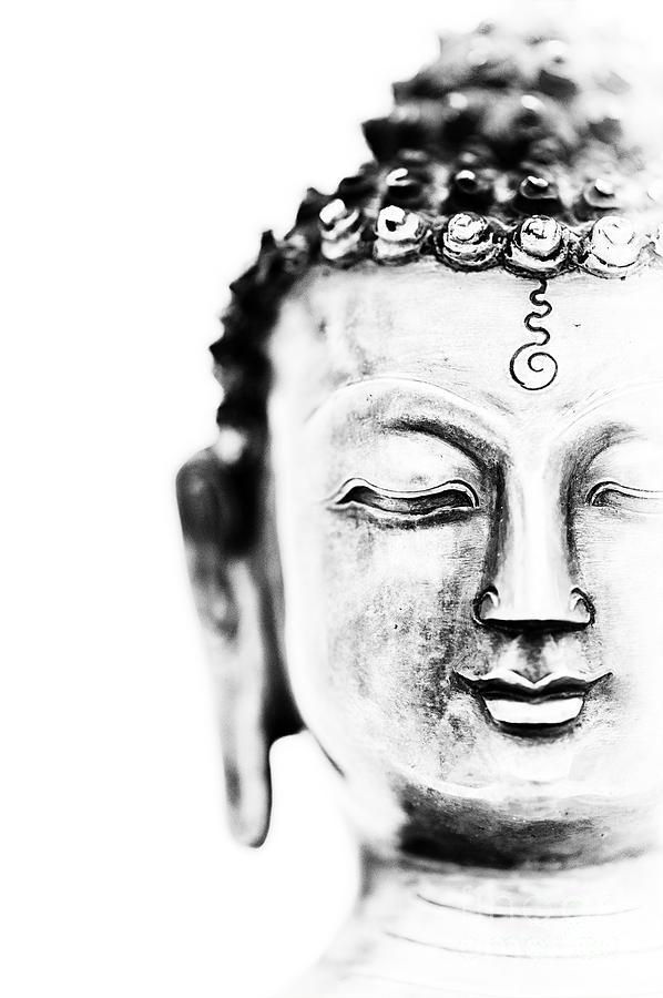 Buddha Photograph - Medicine Buddha by Tim Gainey