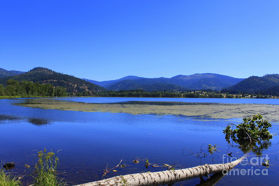 Medicine Lake Photograph by Dorothy Hall - Fine Art America