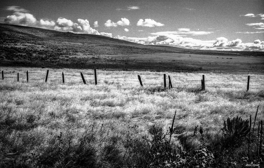 Oregon Photograph - Medicine Springs Fenceline by Paul Haist