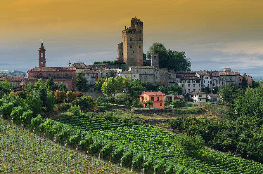 Medieval Castle And Vineyard Flory 