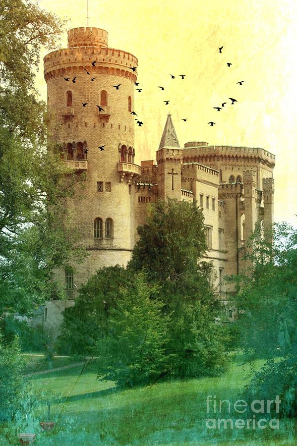 Medieval Castle - Old World  Photograph by Carol Groenen